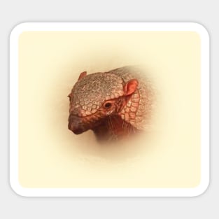 Armadillo Sticker